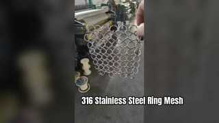 شبكة حلقة SS316
